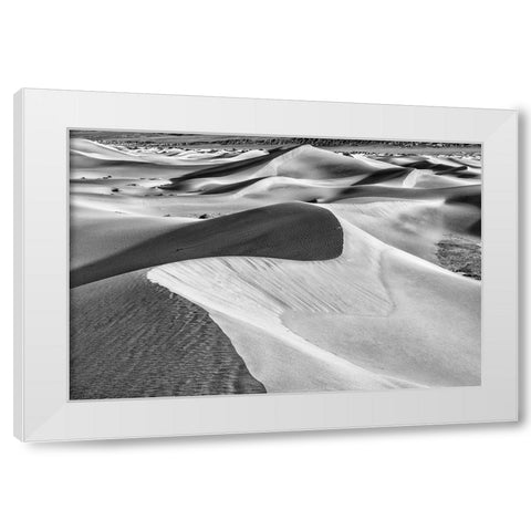 Mesquite Dunes-Death Valley National Park-California White Modern Wood Framed Art Print by Ford, John