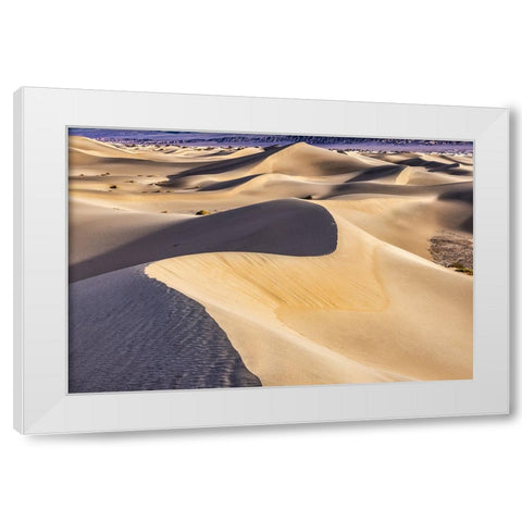 Mesquite Dunes-Death Valley National Park-California White Modern Wood Framed Art Print by Ford, John