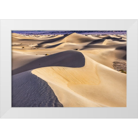 Mesquite Dunes-Death Valley National Park-California White Modern Wood Framed Art Print by Ford, John