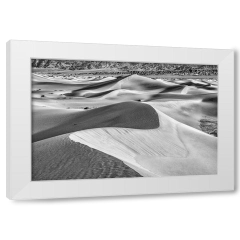 Mesquite Dunes-Death Valley National Park-California White Modern Wood Framed Art Print by Ford, John