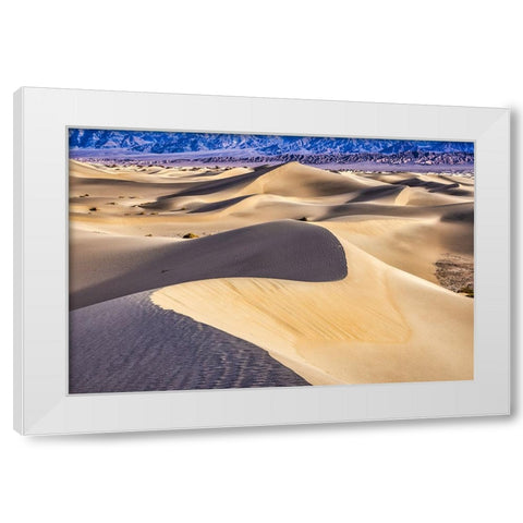 Mesquite Dunes-Death Valley National Park-California White Modern Wood Framed Art Print by Ford, John