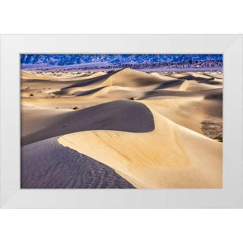 Mesquite Dunes-Death Valley National Park-California White Modern Wood Framed Art Print by Ford, John