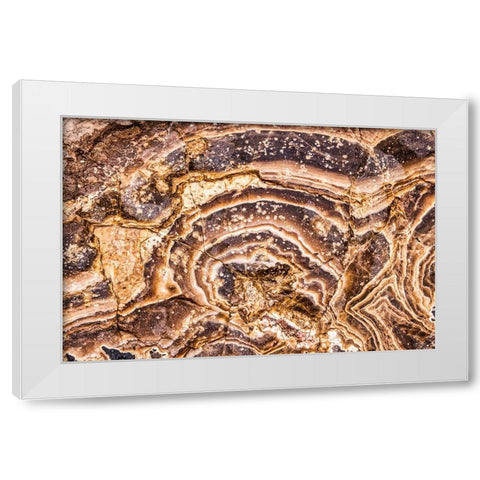 Marble Abstract-Titus Canyon-Death Valley White Modern Wood Framed Art Print by Ford, John