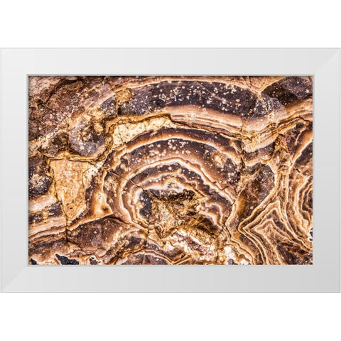 Marble Abstract-Titus Canyon-Death Valley White Modern Wood Framed Art Print by Ford, John