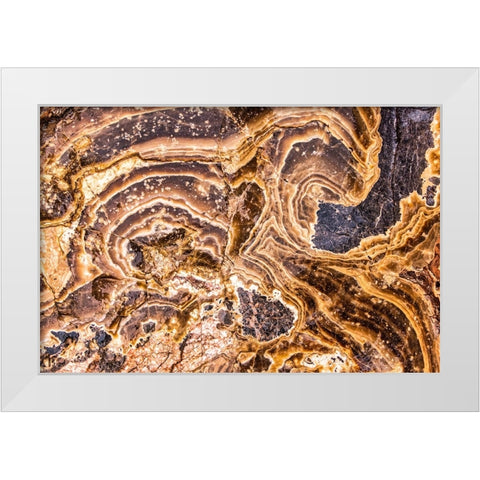 Marble Abstract-Titus Canyon-Death Valley White Modern Wood Framed Art Print by Ford, John