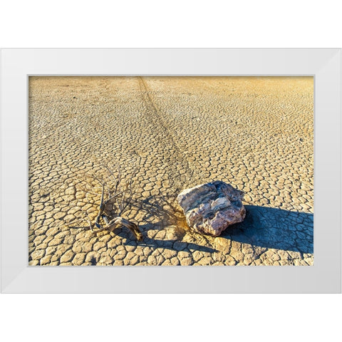 Race Track Rocks-Death Valley-California White Modern Wood Framed Art Print by Ford, John