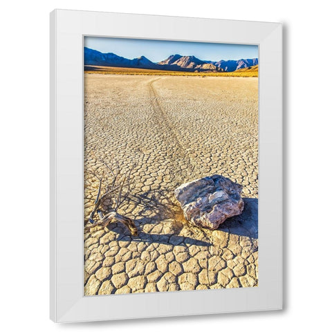 Race Track Rocks-Death Valley-California White Modern Wood Framed Art Print by Ford, John