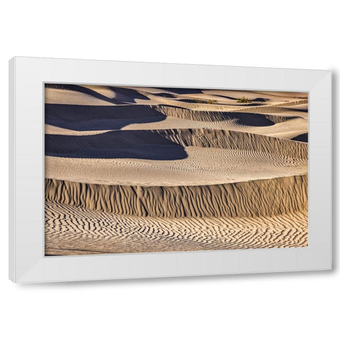 Mesquite Dunes-Death Valley National Park-California White Modern Wood Framed Art Print by Ford, John