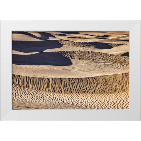 Mesquite Dunes-Death Valley National Park-California White Modern Wood Framed Art Print by Ford, John