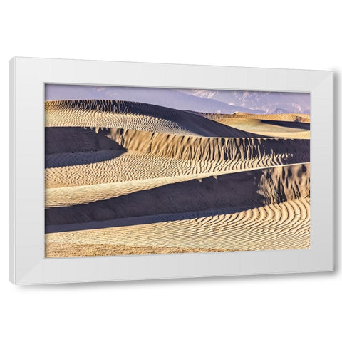 Mesquite Dunes-Death Valley National Park-California White Modern Wood Framed Art Print by Ford, John