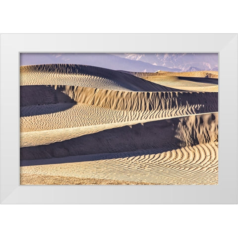 Mesquite Dunes-Death Valley National Park-California White Modern Wood Framed Art Print by Ford, John
