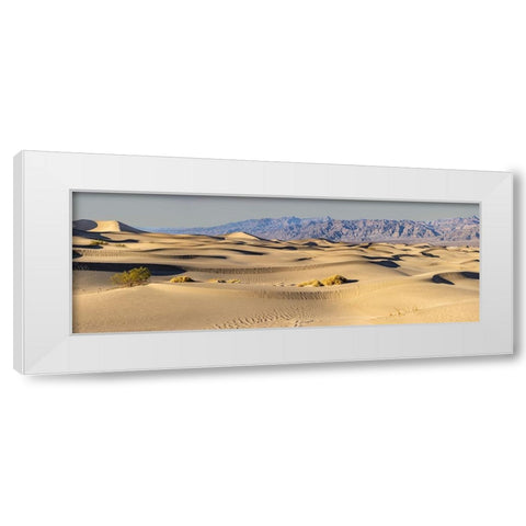 Mesquite Dunes-Death Valley National Park-California White Modern Wood Framed Art Print by Ford, John