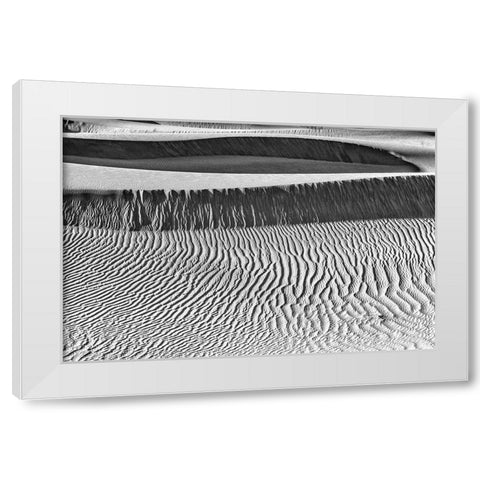 Mesquite Dunes-Death Valley National Park-California White Modern Wood Framed Art Print by Ford, John