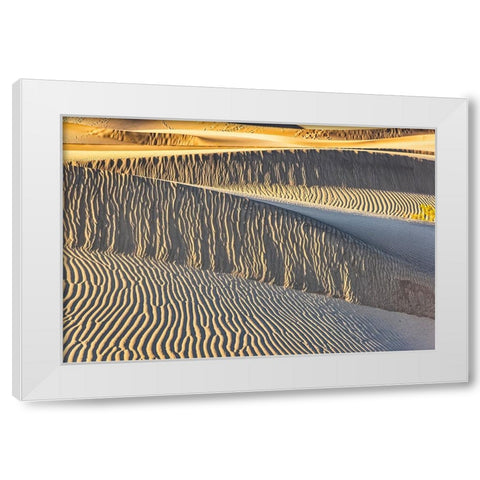 Mesquite Dunes-Death Valley National Park-California White Modern Wood Framed Art Print by Ford, John