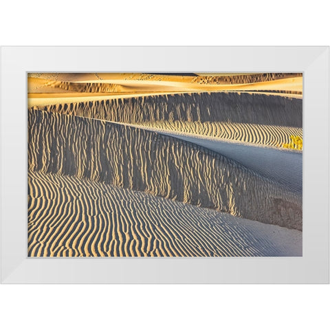 Mesquite Dunes-Death Valley National Park-California White Modern Wood Framed Art Print by Ford, John