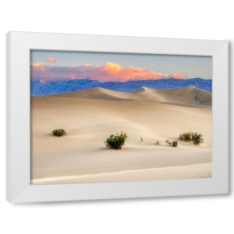 California Death Valley National Park-Mesquite Flat Sand Dunes White Modern Wood Framed Art Print by Wild, Jamie and Judy