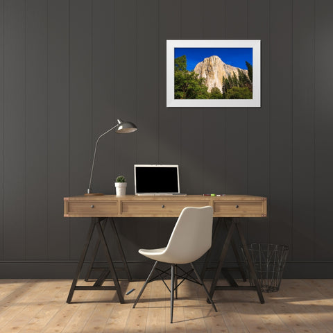 El Capitan-Yosemite Valley-Yosemite National Park-California-USA White Modern Wood Framed Art Print by Bishop, Russ