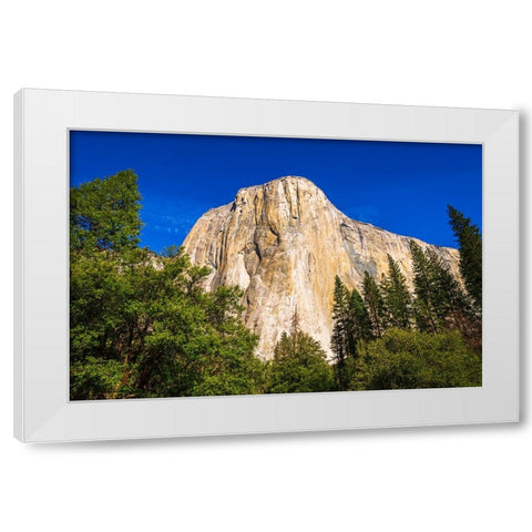 El Capitan-Yosemite Valley-Yosemite National Park-California-USA White Modern Wood Framed Art Print by Bishop, Russ