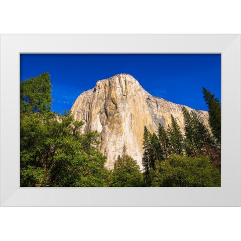 El Capitan-Yosemite Valley-Yosemite National Park-California-USA White Modern Wood Framed Art Print by Bishop, Russ