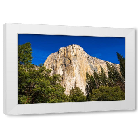 El Capitan-Yosemite Valley-Yosemite National Park-California-USA White Modern Wood Framed Art Print by Bishop, Russ