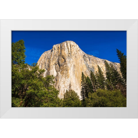 El Capitan-Yosemite Valley-Yosemite National Park-California-USA White Modern Wood Framed Art Print by Bishop, Russ