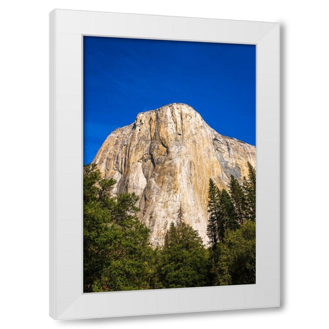 El Capitan-Yosemite Valley-Yosemite National Park-California-USA White Modern Wood Framed Art Print by Bishop, Russ