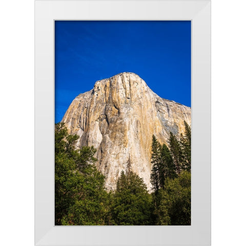 El Capitan-Yosemite Valley-Yosemite National Park-California-USA White Modern Wood Framed Art Print by Bishop, Russ