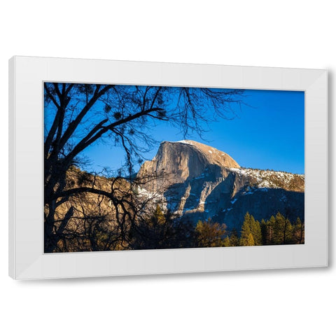Afternoon light on Half Dome in winter-Yosemite National Park-California-USA White Modern Wood Framed Art Print by Bishop, Russ