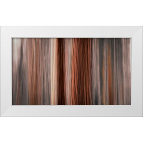 Forest abstract-Yosemite National Park-California-USA White Modern Wood Framed Art Print by Bishop, Russ