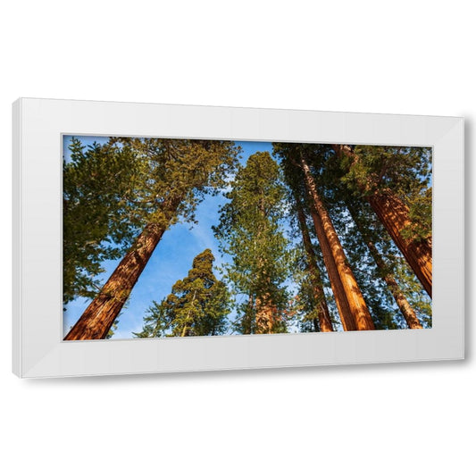Perspective Image