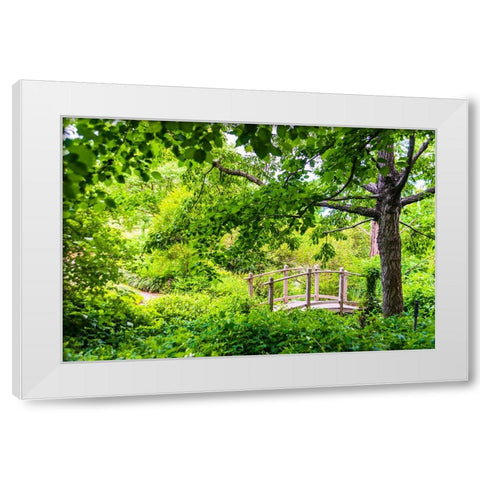 A wooden bridge crossing a small creek alongside a dirt path in a very green-lush forest setting White Modern Wood Framed Art Print by Haddad, Sheila