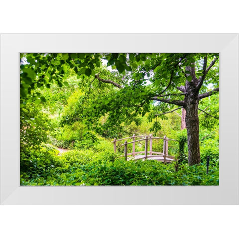 A wooden bridge crossing a small creek alongside a dirt path in a very green-lush forest setting White Modern Wood Framed Art Print by Haddad, Sheila
