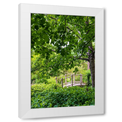 A wooden bridge crossing a small creek alongside a dirt path in a very green-lush forest setting White Modern Wood Framed Art Print by Haddad, Sheila