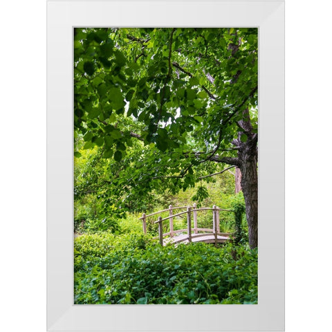 A wooden bridge crossing a small creek alongside a dirt path in a very green-lush forest setting White Modern Wood Framed Art Print by Haddad, Sheila