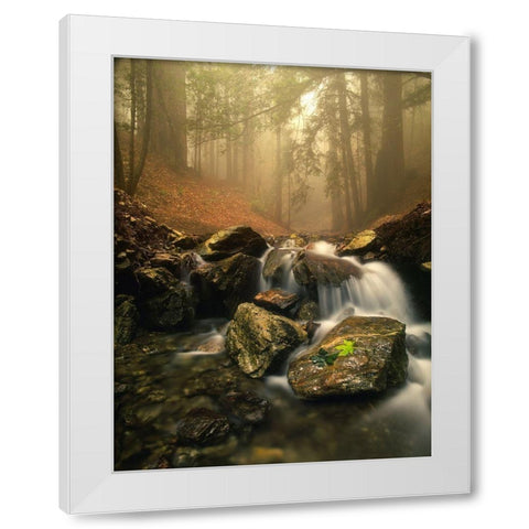 A stream meanders through a fog filled valley on coastal California near Big Sur White Modern Wood Framed Art Print by SMO