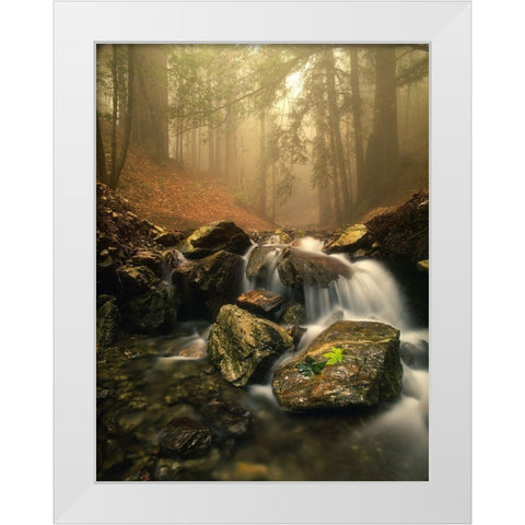 A stream meanders through a fog filled valley on coastal California near Big Sur White Modern Wood Framed Art Print by SMO