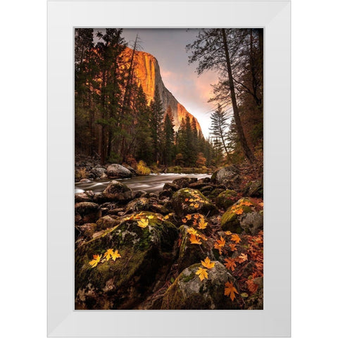 Fall along Merced River in Yosemite National Park-California White Modern Wood Framed Art Print by SMO