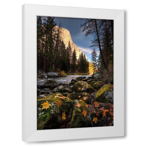 Autumn along Merced River in Yosemite National Park-California White Modern Wood Framed Art Print by SMO