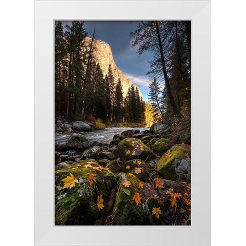 Autumn along Merced River in Yosemite National Park-California White Modern Wood Framed Art Print by SMO