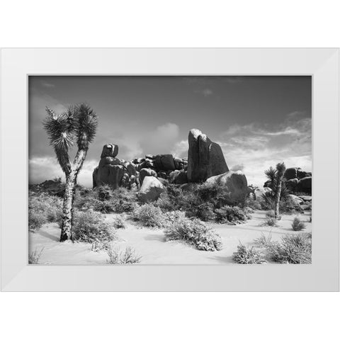 Winter storm-Joshua Tree National Park-California White Modern Wood Framed Art Print by Muench, Zandria