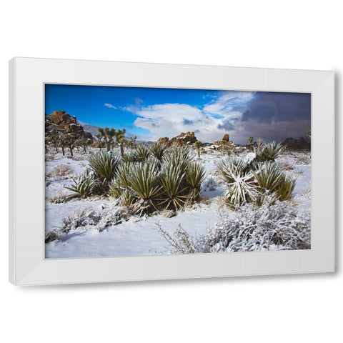 Winter storm-Joshua Tree National Park-California White Modern Wood Framed Art Print by Muench, Zandria