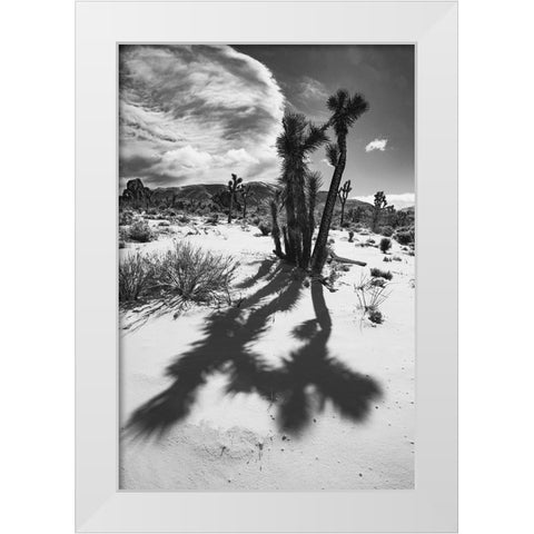 Winter storm-Joshua Tree National Park-California White Modern Wood Framed Art Print by Muench, Zandria