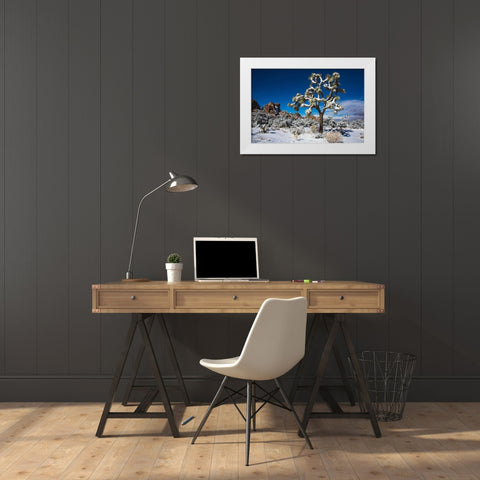 Winter storm-Joshua Tree National Park-California White Modern Wood Framed Art Print by Muench, Zandria