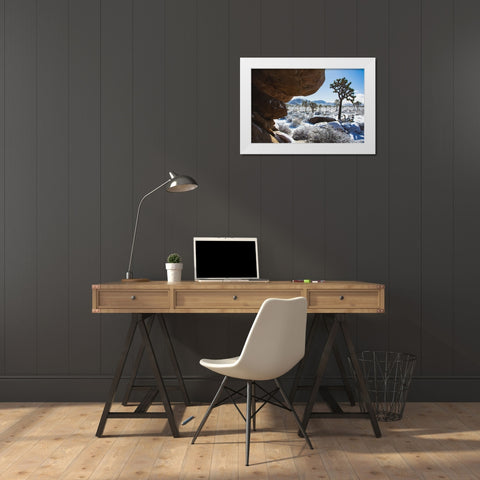 Winter storm-Joshua Tree National Park-California White Modern Wood Framed Art Print by Muench, Zandria