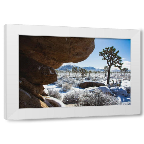 Winter storm-Joshua Tree National Park-California White Modern Wood Framed Art Print by Muench, Zandria