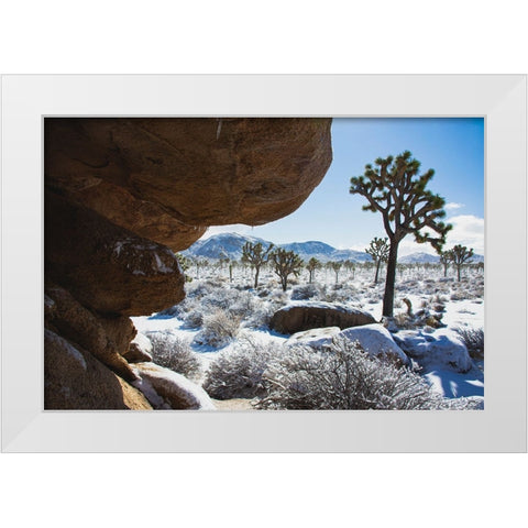 Winter storm-Joshua Tree National Park-California White Modern Wood Framed Art Print by Muench, Zandria