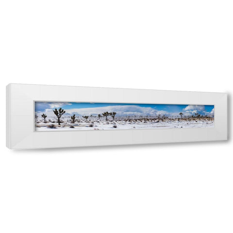Winter storm-Joshua Tree National Park-California White Modern Wood Framed Art Print by Muench, Zandria