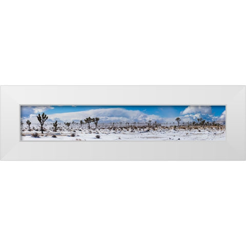 Winter storm-Joshua Tree National Park-California White Modern Wood Framed Art Print by Muench, Zandria