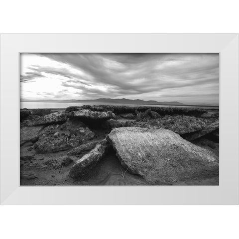 Salton Sea- Imperial Valley- California White Modern Wood Framed Art Print by Muench, Zandria