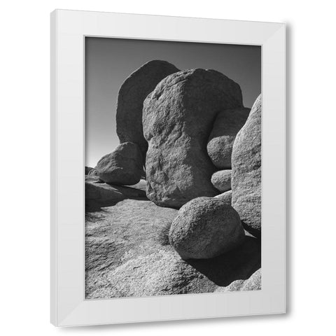 Granite Tree National Park- California White Modern Wood Framed Art Print by Muench, Zandria